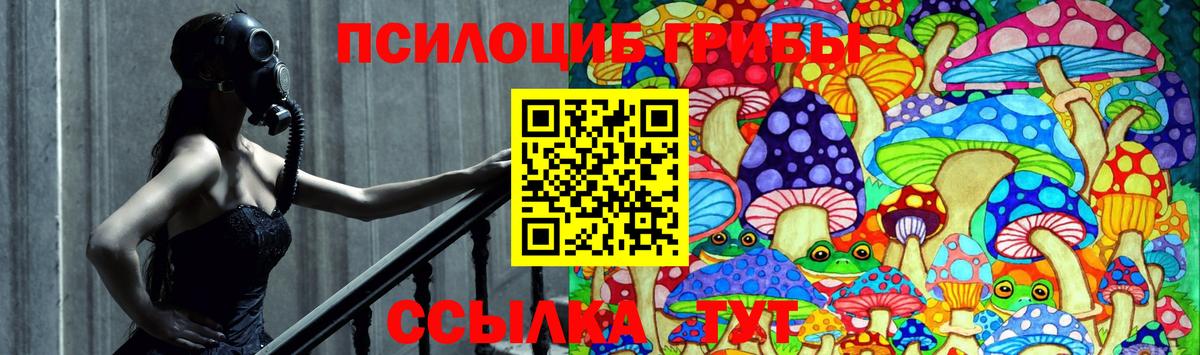 Галлюциногенные грибы Psilocybine cubensis Дедовск
