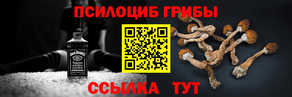 Дедовск  Галлюциногенные грибы прущие грибы  Галлюциногенные грибы Psilocybe  Вход с VPN 